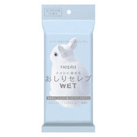 ウェットティッシュ ノンアルコール ネピア おしり セレブ ウエット おでかけ用 トイレに流せる 1セット（12枚入）王子ネピア