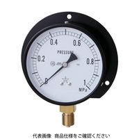 一般耐振形圧力計（B枠立型・φ100）