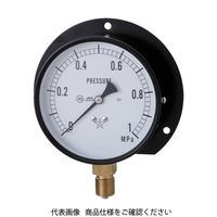 汎用圧力計（B枠立型・φ75）