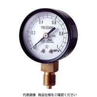 小型圧力計（A枠立型・φ50） _1