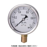 右下精器製造 右下 グリセリンーT AU1/4×60×1.6MPA GLT-21-1.6MP 1個 308-4019（直送品）