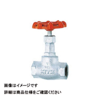 キッツ KITZ グローブバルブ(JIS10K準拠品・ダクタイル鋳鉄) 呼び径B:1/4 10SJ-8A 1個 163-7703（直送品）