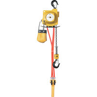 遠藤工業 ENDO エアーホイスト ATー60K 60kg 3m 1台(1個) 321-0014（直送品）