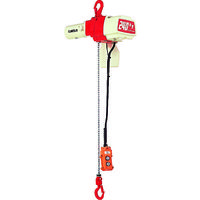 キトー 電気チェーンブロック キトーセレクト 2速形 240kg×3m ED24ST 1台 176-0599（直送品）