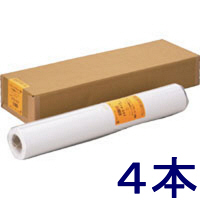 アスクル　プロッタ用紙　ロール紙　インクジェットプロッタ用紙　普通紙（エコノミータイプ）白黒用A1　1セット（2本入×2箱） オリジナル