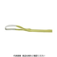 トラスコ中山 TRUSCO ポリエステルスリング JIS3等級 両端アイ形 50mmX4.5m TPS50-45 1本 329-0841（直送品）