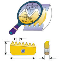 Carmex Precision Tools NOGA ミルスレッドNPTねじ用チップ 21-14NPT MT-7 1個 330-0579（直送品）