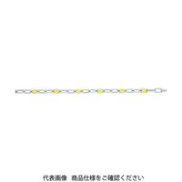 トラスコ中山 TRUSCO ステンレスカットチェーン チェーンアイ付 4.0mmX5m TSC-405A 1本 352-4035（直送品）