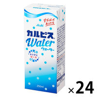 カルピス カルピスウォーター 250ml 紙パック 1箱（24本入）