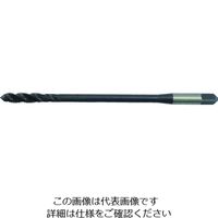 イシハシ精工 IS ロングネックスパイラルタップ L=100 M6X1.0 LNSPT-M6X1.0 1本 385-0901（直送品）