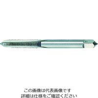 イシハシ精工 IS パック入 ハンド先タップ 5M0.9 (1本=1PK) P-S-HT-5MX0.9-1 1本 385-1273（直送品）