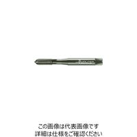 ワルタージャパン プロトティップ ECO CI 切削タップ JE20364-M20 1本 390-9395（直送品）