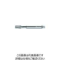 ワルタージャパン プロトティップ TI スパイラルタップ JC20466-M12 1本 387-8601（直送品）