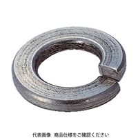 トラスコ中山 スプリングワッシャー ステンレス サイズM20 B29-0020 1パック(10個) 160-8754