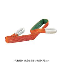 田村 ベルトスリング Ｐタイプ ３Ｅ １００×８．０ PE1000800 390-3621