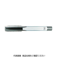 オーエスジー（OSG） OSG タップ 24017 OTT-3P-STD-M5X0.8 1本 202-0572（直送品）