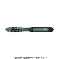 オーエスジー（OSG） OSG タップ 17714 EX-SS-POT-STD-M2X0.4 1本 201-1310（直送品）