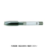 オーエスジー OSG タップ 8310137 V-POT-STD-M12X1.25 1本 201-0976（直送品）