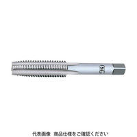 オーエスジー OSG タップ 321 HT1-H-M2.5X0.45 1本 201-1751（直送品）