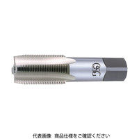 オーエスジー（OSG） OSG 管用平行タップ 一般用 PF3/8 23503 SPT-H-PF3/8 1本 202-0483（直送品）