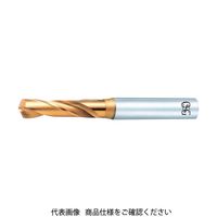 オーエスジー OSG EXゴールドドリル 一般加工用スタブ形 刃径1.9mm 60019 EX-GDS-1.9 1本 100-8455（直送品）