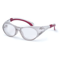 山本光学 YAMAMOTO 二眼型保護メガネ レンズ色クリア YS-88 WIN 1個 379-3826（直送品）