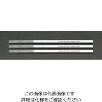 エスコ 6x170mm ダイヤモンドやすり(3本組・刃物研用) EA826VG-36 1組（直送品）