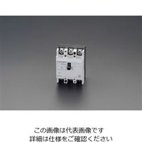 エスコ AC220V/100A ノーヒューズ遮断器 EA940MM-6 1個（直送品）