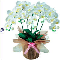 【アウトレット】セキセイ　コチョウラン　五本立ち　ホワイト　CCR-501-70　1個