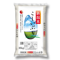 【新米】新潟県産 こしいぶき 10kg 【精白米】 令和7年産 お米 白米