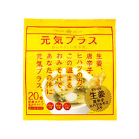 【アウトレット】インスタント　元気プラス　生姜の温まるおみそ汁　1袋(20食入)　ひかり味噌