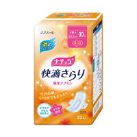 【尿ケアナプキン】【少量用30cc】【羽つき】【20.5cm】ナチュラ　さら肌さらり　吸水ナプキン　1パック（22枚入）　大王製紙