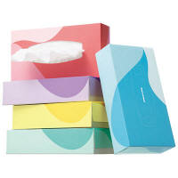 ティッシュペーパー　150組（5箱入）×2パック　オリジナルティッシュスマートコンパクトパステルカラー　アスクル