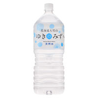 【軟水】ロジネットジャパン 北海道大雪山ゆきのみず 2L 1箱（6本入）