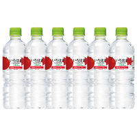 【アウトレット】コカ・コーラ　いろはす りんご　555ml　1セット（6本）