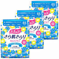 尿ケアナプキン 中量用65cc 羽なし 26cm ナチュラ さら肌さらり 吸水ナプキン 1セット（18枚×3個） 大王製紙