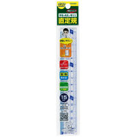 【アウトレット】レイメイ藤井 再生PET定規 APJ72 1個