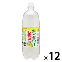 【アウトレット】日本サンガリア サンガリア サンサワー レモン 1000ml 1箱（12本入）