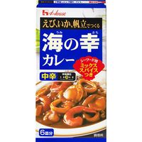 【アウトレット】ハウス食品　海の幸カレー　中辛　カレールー　120g　1食