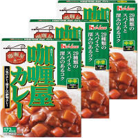 【アウトレット】ハウス食品　カリー屋カレー　中辛　200g　1セット（3食入）