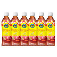 UCC上島珈琲　パラダイストロピカルティー　450ml　502673　1セット（6本）