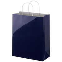 【アウトレット】UV丸紐手提袋E　ネイビー　M　1袋（10枚入）　スーパーバッグ オリジナル
