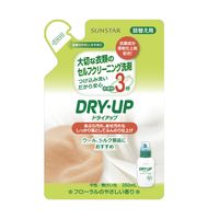 DRY・UP（ドライアップ） 詰め替え 250ml 1個 衣料用洗剤 サンスター