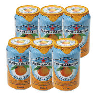 使用不可【アウトレット】【並行輸入品】サンペレグリノ　アランチアータ　330ml　1セット（6缶）