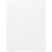 無印良品 リフィールクリアポケット A4・30穴・100枚入 良品計画