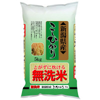 【無洗米】新潟県産こしひかり 5kg 平成30年産