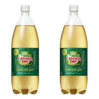 コカ・コーラ　ジンジャーエール　カナダドライ　1.5L　1セット（2本）