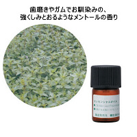 生活の木 エッセンシャルオイル ペパーミント 1本（3mL）