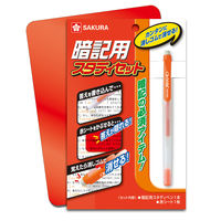 【アウトレット】サクラクレパス　暗記用スタディセット　GBD-01　1セット（暗記用スタディペン1本＋赤シート1枚）