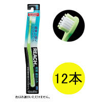 リーチ 奥歯集中ケア コンパクト ふつう 12本入 歯ブラシ